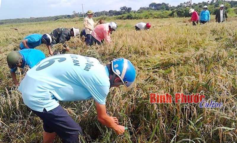 Chung sức vì cộng đồng