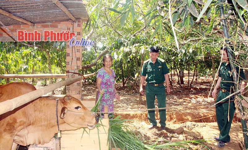 Đồn bi&ecirc;n ph&ograve;ng B&ugrave; Gia Mập gi&uacute;p nh&acirc;n d&acirc;n ph&aacute;t triển kinh tế