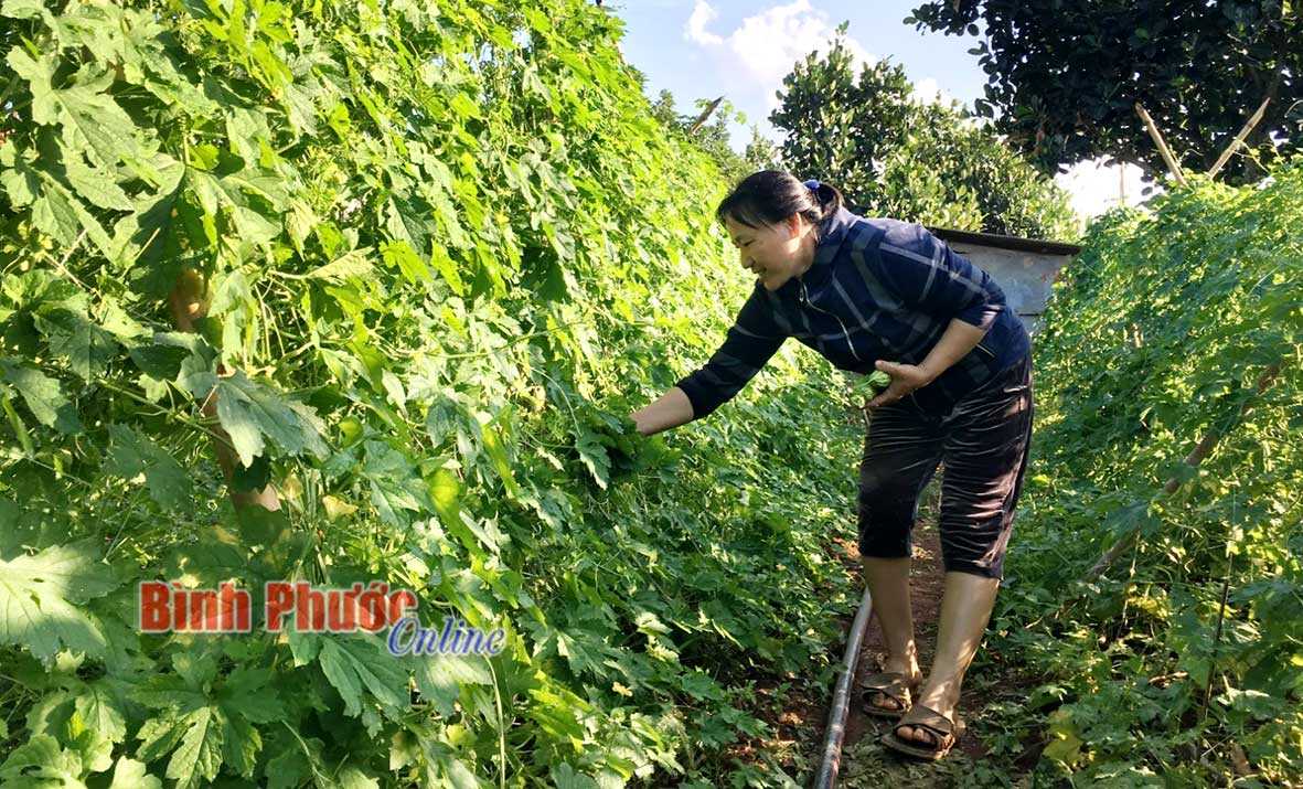 Từ ngày 1-3, hộ nghèo được vay tối đa 100 triệu đồng