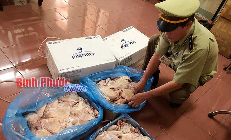 Thu giữ 225kg gà đông lạnh không có chứng nhận kiểm dịch
