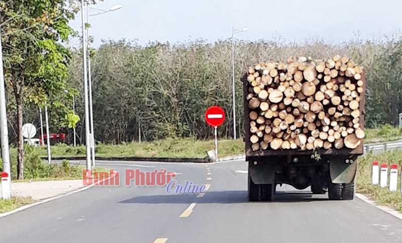 Ảnh phê bình: Xe máy kéo lưu thông ngược chiều