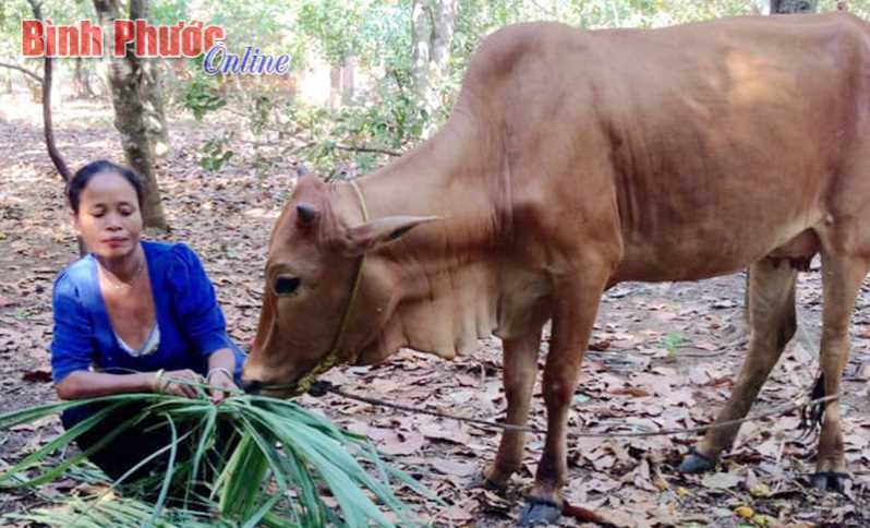 Đồng hành vì sự phát triển của phụ nữ DTTS