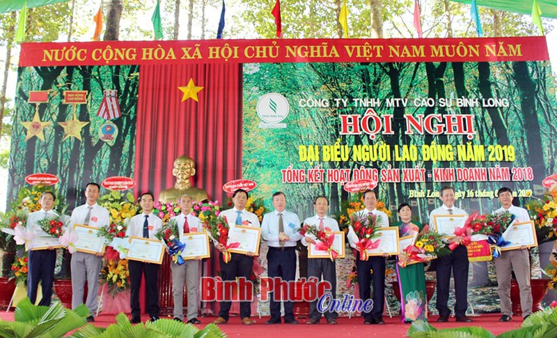 Cao su Bình Long quyết tâm vượt khó