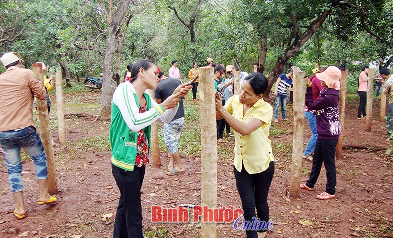 Nâng cao năng lực cộng đồng trong giảm nghèo