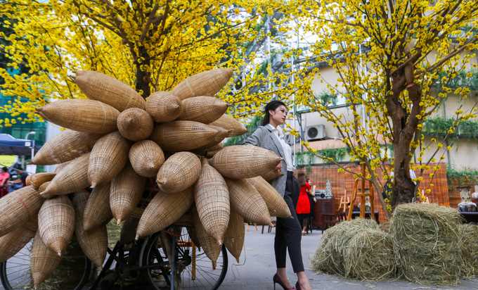 Thiếu nữ xúng xính tạo dáng trên con đường hoa mai ở Sài Gòn