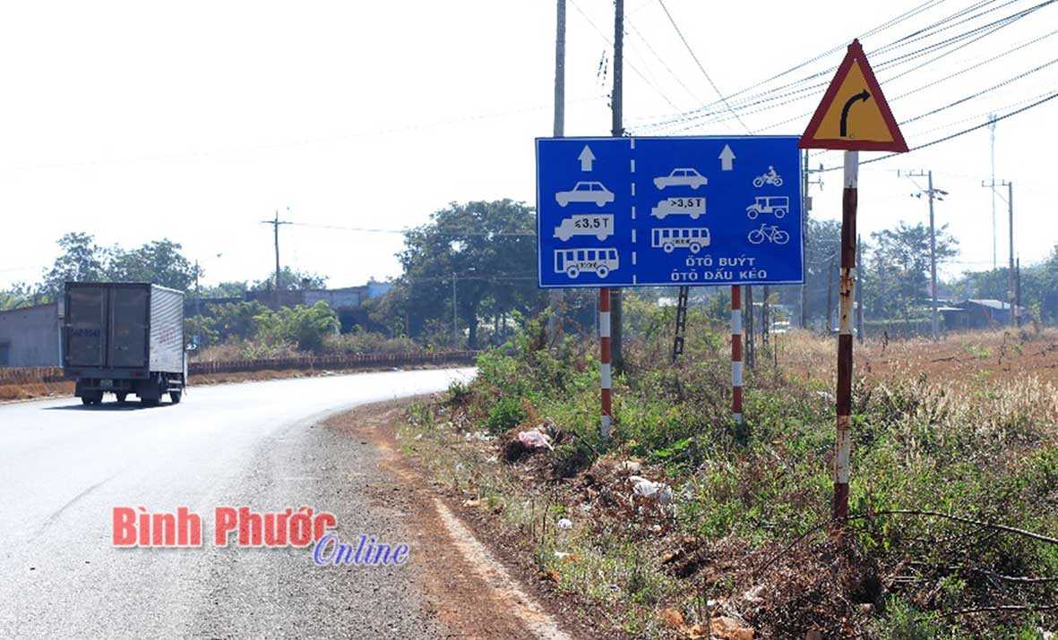 Đ&atilde; ph&aacute;t quang c&acirc;y dại che khuất biển b&aacute;o