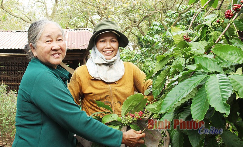 Dân vận khéo trong DS-KHHGĐ