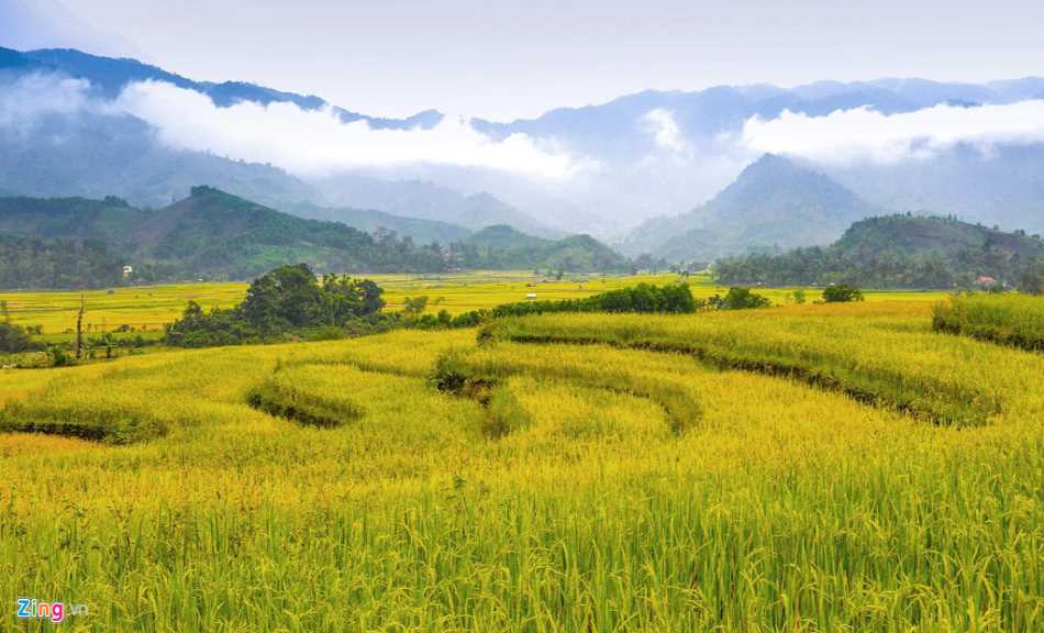 Tháng 3 về, ngắm Quảng Ngãi thay màu với cánh đồng bát ngát