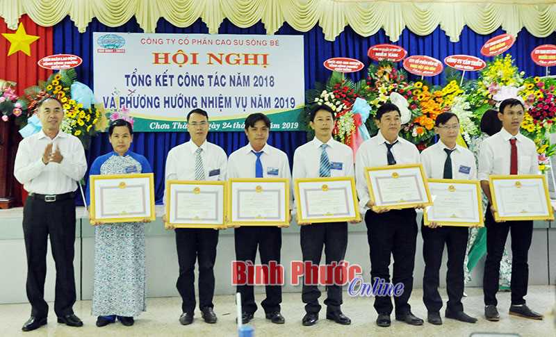 Cao su S&ocirc;ng B&eacute; nộp ng&acirc;n s&aacute;ch 210 tỷ đồng,