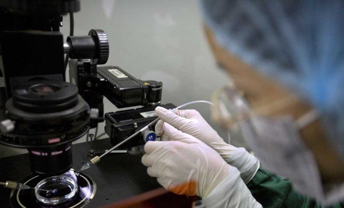 WHO: Thế giới cần khung quản lý chặt chẽ về chỉnh sửa gene người