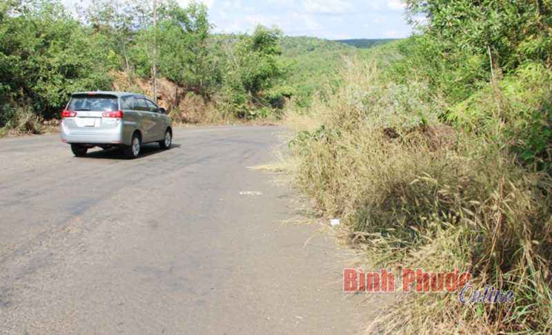 Ý kiến người dân: Hàng loạt biển báo giao thông bị cỏ dại che khuất