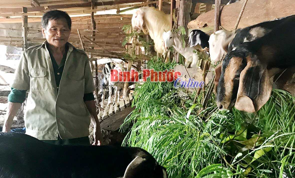 Cựu chiến binh gương mẫu