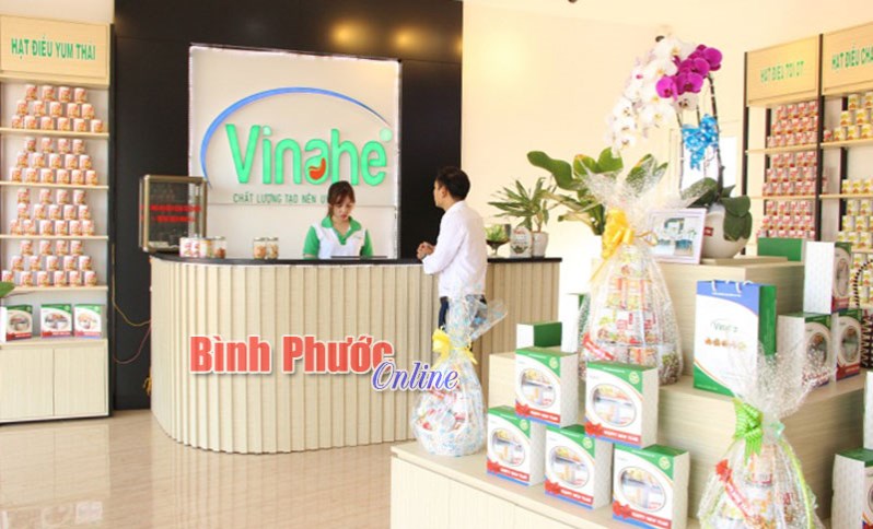 Nội lực hạt điều và chiến lược “Đại dương xanh”