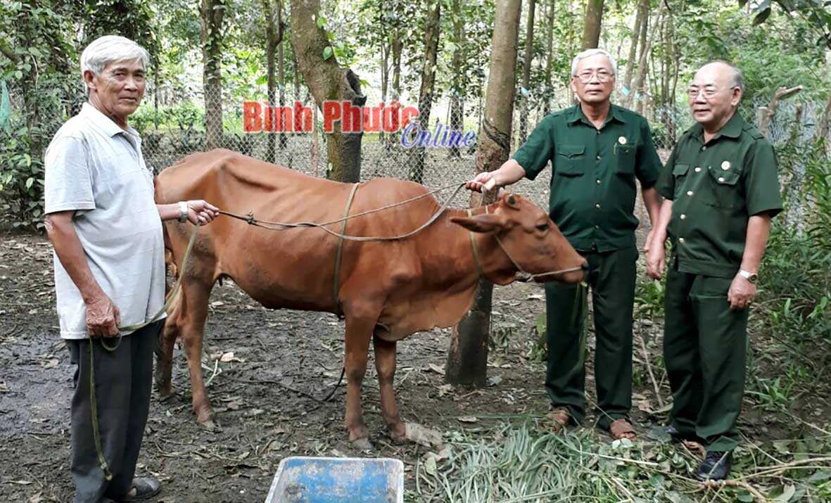 Hội Cựu chiến binh tỉnh: Nhiều mô hình hiệu quả