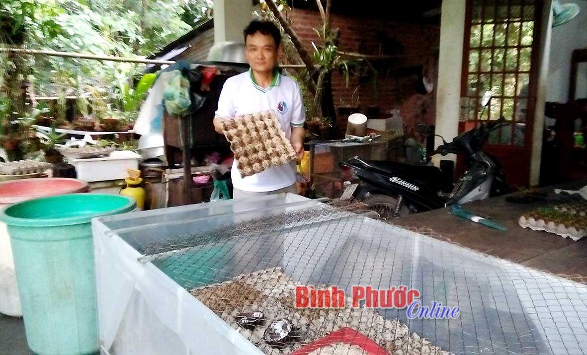 Thu nhập khá từ nuôi dế