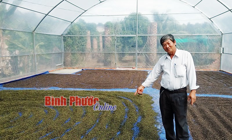 Tiêu sạch nhờ nhà lồng phơi sấy tự chế