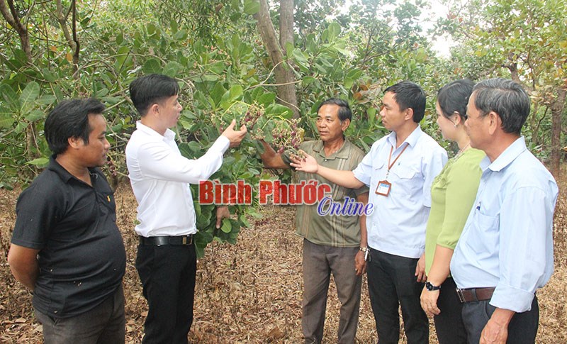 Nhiều tín hiệu khả quan vụ điều 2018-2019