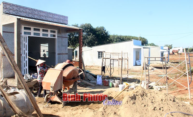 Xuân sớm trên khu tái định cư 119