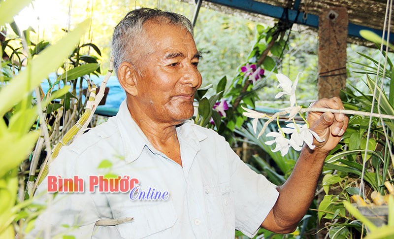 Từ phong lan nghĩ đến khuyến nông đô thị