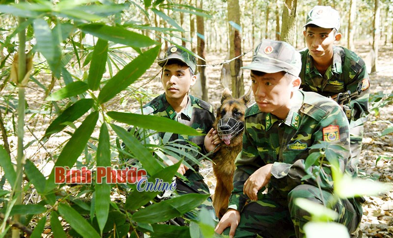 Khắc tinh của tội phạm tr&ecirc;n tuyến bi&ecirc;n giới