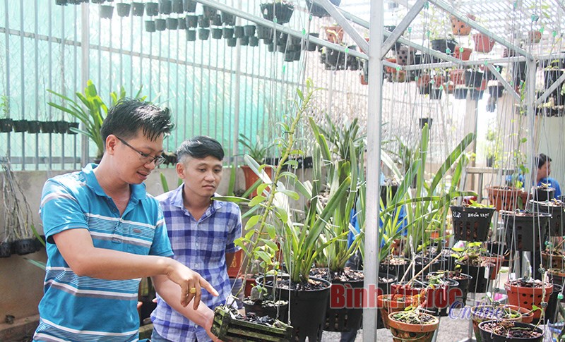 Lập nghiệp, khởi nghiệp trong thanh niên - Bài 1