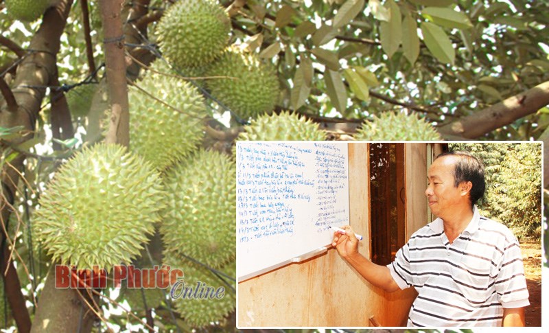 Mô hình hợp tác xã nhìn từ Phước Tín