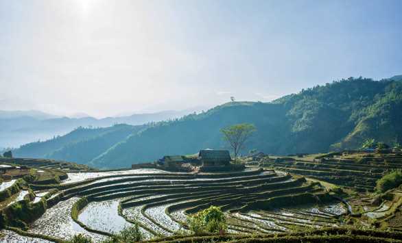 Đi giữa rừng già, chinh phục núi Muối miền Tây Bắc