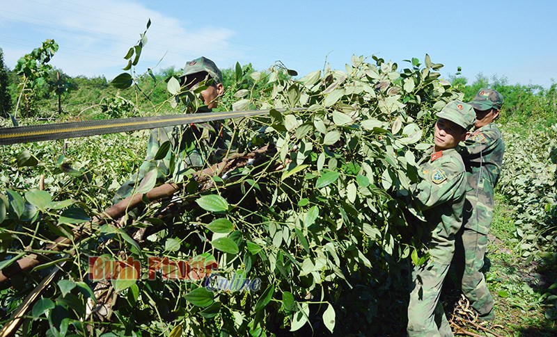Phát huy sức trẻ LLVT tỉnh 