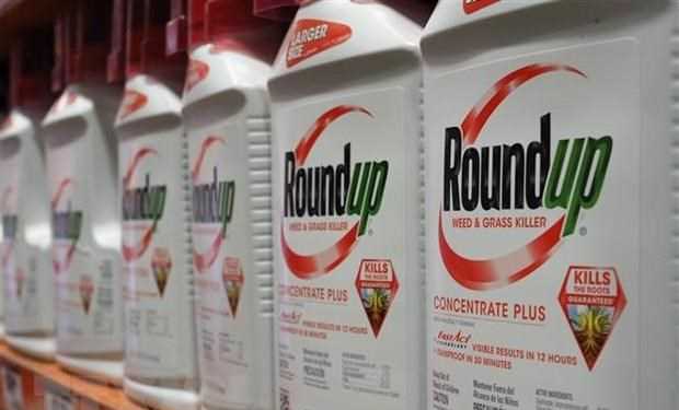 Tòa án yêu cầu công khai mức độc hại của chất diệt cỏ glyphosate