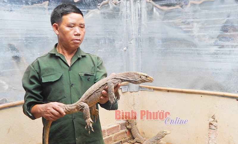 T&acirc;n H&ograve;a đổi mới