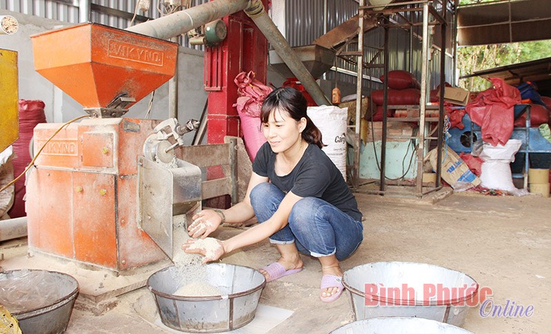 Xây dựng thương hiệu “Gạo An Khương”