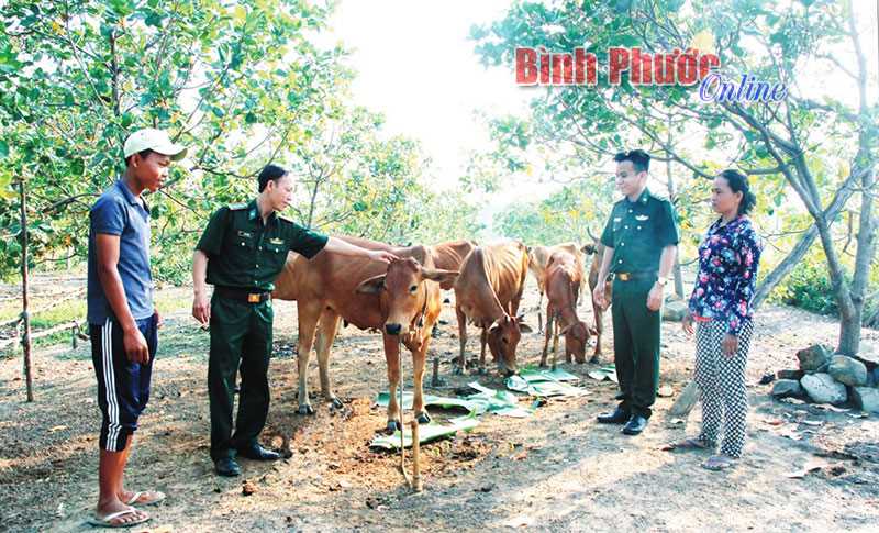 Thiết thực chương tr&igrave;nh kết nghĩa, đỡ đầu