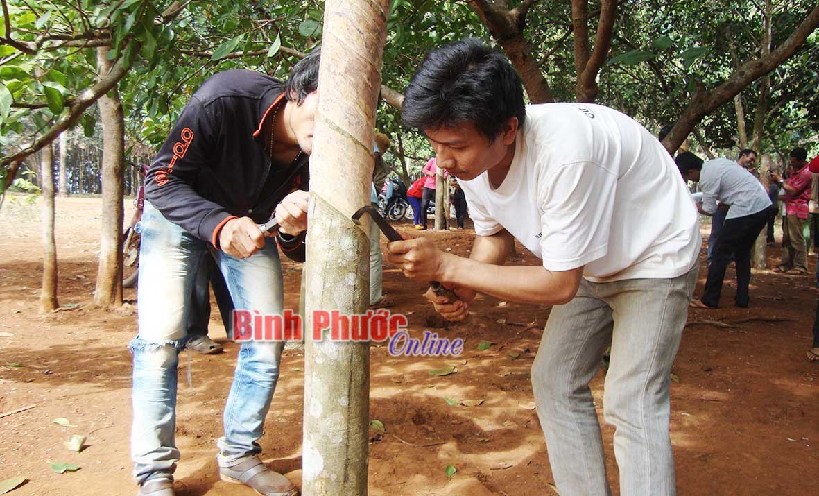 Nhiều chính sách hỗ trợ giảm nghèo