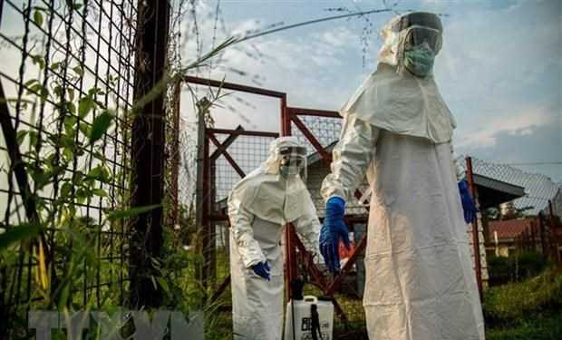 Hy vọng mới về vaccine đa năng phòng mọi chủng virus Ebola