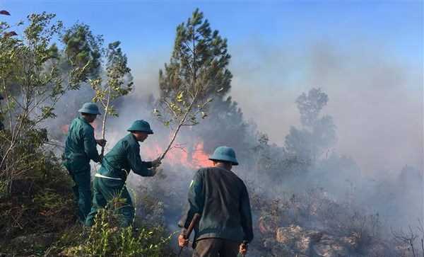 Huy động 120 người dập cháy tại Vườn quốc gia Hoàng Liên