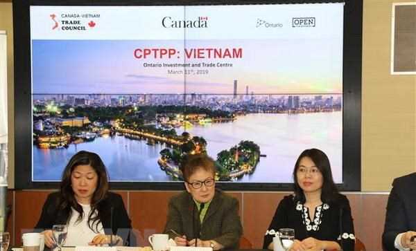 CPTPP mở ra nhiều cơ hội cho c&aacute;c doanh nghiệp Canada v&agrave; Việt Nam