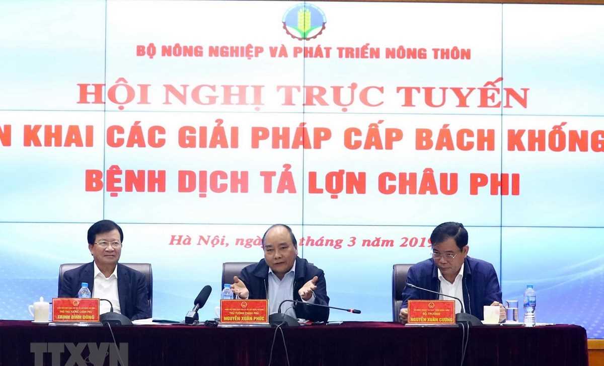 Kiểm soát chặt chẽ tình trạng vận chuyển lợn từ Bắc vào Nam