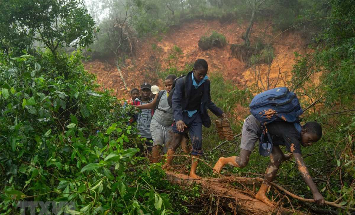 Mozambique: Hơn 1.000 người thiệt mạng do bão nhiệt đới Idai