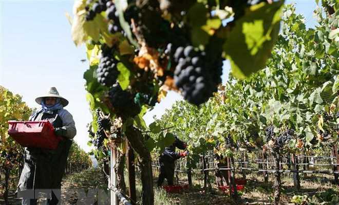 Mỹ lạc quan về việc đạt tiến triển đàm phán thương mại với Trung Quốc