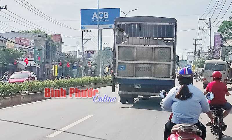 Xe chở gia súc gây hôi thối