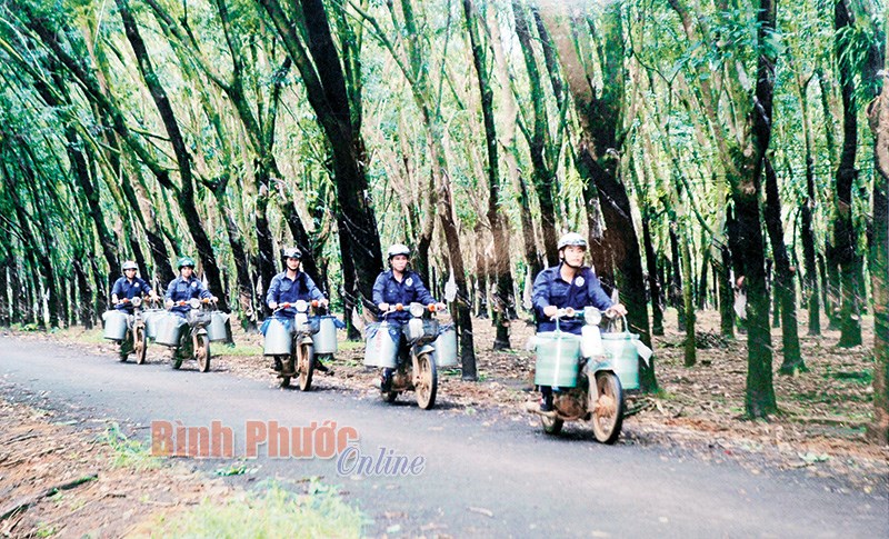 Xuân sớm ở Nông trường Minh Hưng