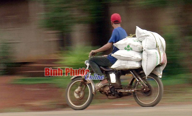 Nỗi lo an to&agrave;n giao th&ocirc;ng v&ugrave;ng n&ocirc;ng th&ocirc;n