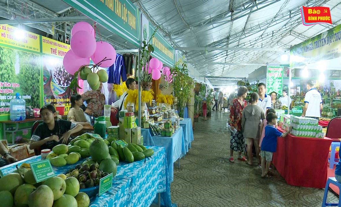 [Video] 200 gian hàng tham gia hội chợ trái cây và hàng nông sản Bình Phước lần 4/2019