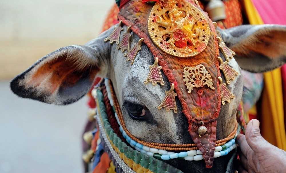 Những điều không phải du khách nào cũng biết về Ấn Độ