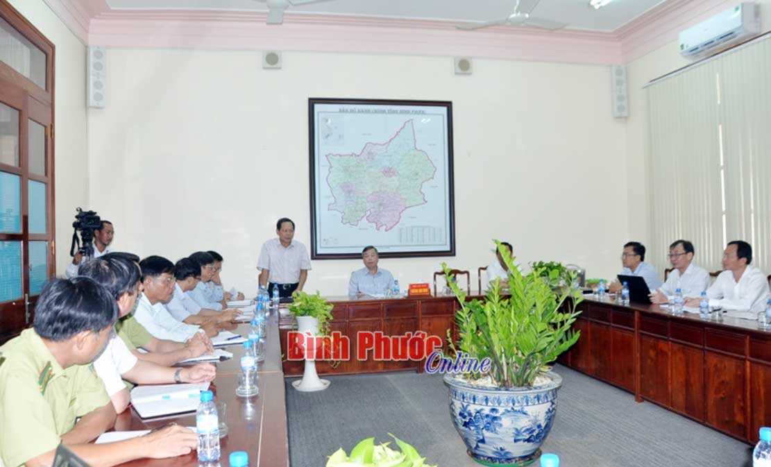 Xem xét trồng rừng bán ngập ở khu vực hồ thủy điện, thủy lợi