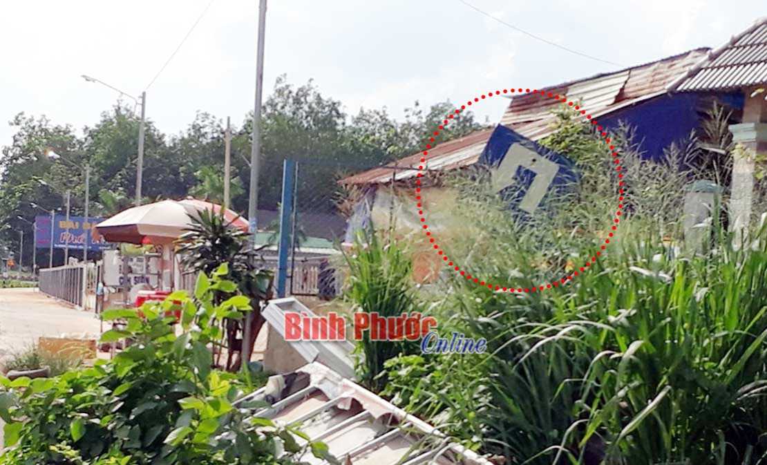 Biển báo trong bụi cỏ