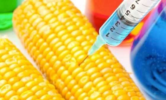 Mỹ đẩy nhanh quy trình xem xét sản phẩm nông nghiệp biến đổi gene