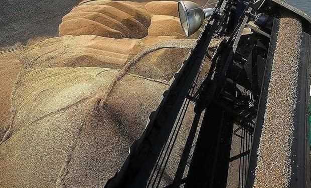 Liên hợp quốc: Triều Tiên cần thêm khoảng 1,36 triệu tấn ngũ cốc