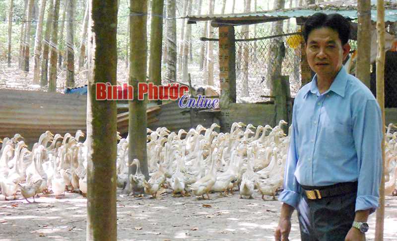 Không cho đất nghỉ