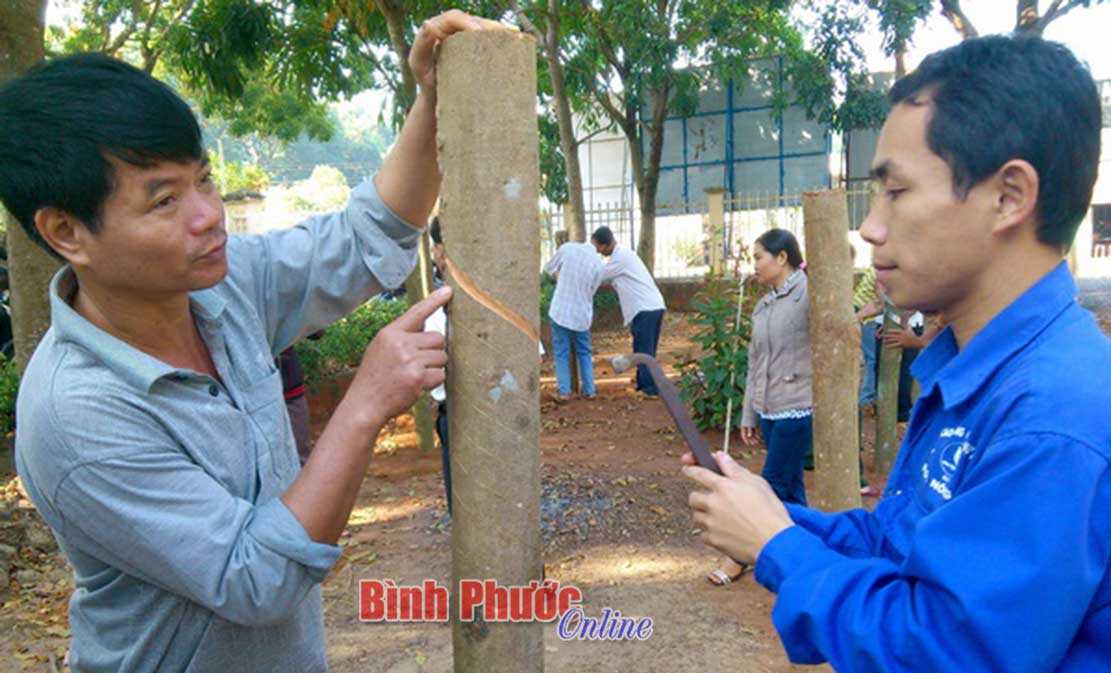 Đào tạo nghề cho lao động nông thôn gắn với nhu cầu thực tế